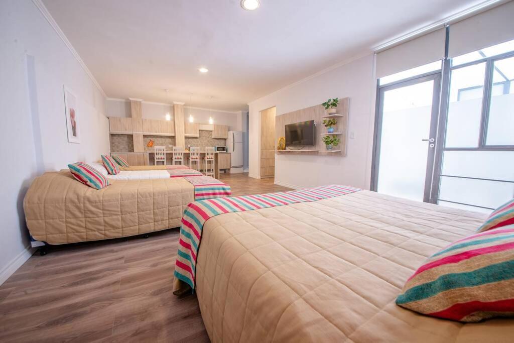 Augusta 8 Apartment Салта Екстериор снимка
